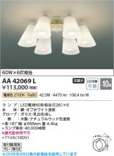AA42069L