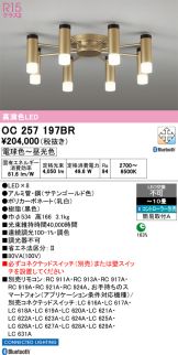 OC257197BR