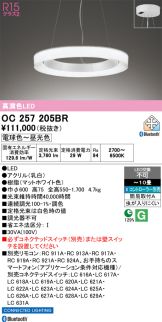 OC257205BR