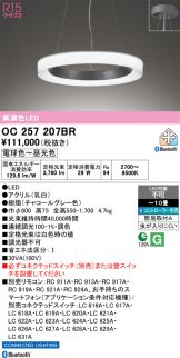 OC257207BR