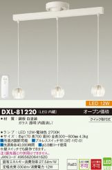 DXL-81220