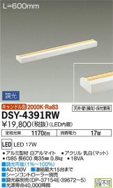 DSY-4391RW