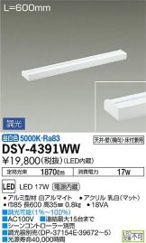 DSY-4391WWDS