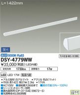 DSY-4779WW