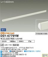 DSY-4779YW