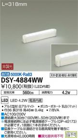 DSY-4884WWDS