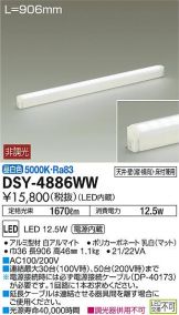 DSY-4886WWDS