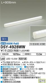 DSY-4928WWDS