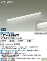 DSY-4929WWDS