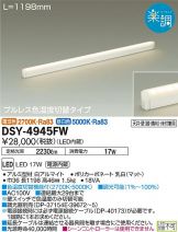 DSY-4945FWDS