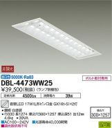 DBL-4473WW25