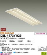 DBL-4473YW25