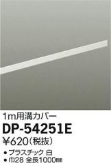 DP-54251E