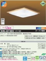 DXL-81202