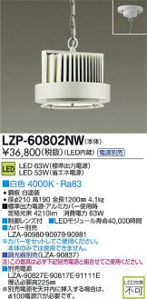 LZP-60802NW