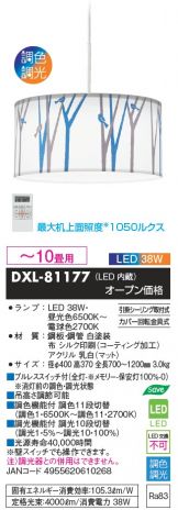 DXL-81177