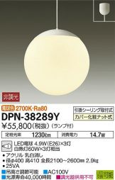 DPN-38289Y