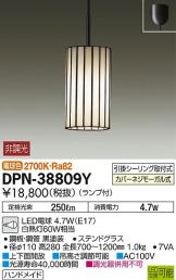 DPN-38809Y