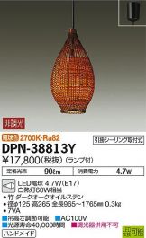 DPN-38813Y