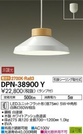 DPN-38900Y