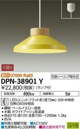 DPN-38901Y