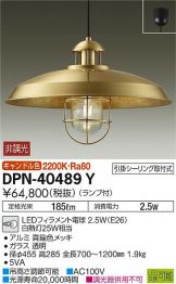 DPN-40489Y