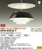 DPN-40534Y