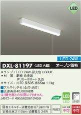 DXL-81197