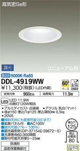 DDL-4919WW