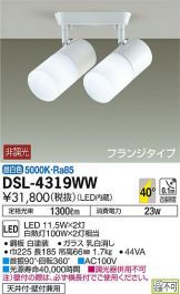 DSL-4319WW