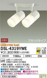 DSL-4319YWE