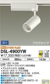 DSL-4900YW