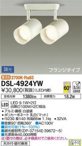DSL-4924YW