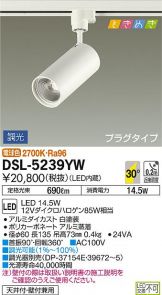 DSL-5239YW