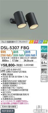 DSL-5307FBG