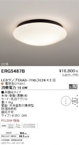 ERG5487B