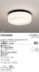 ERG5489B