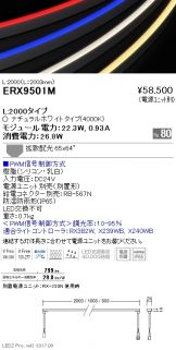 ERX9501M