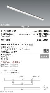 ERK9819W-RAD60<br />
2W