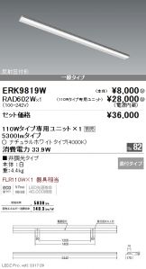 ERK9819W-RAD60<br />
2W