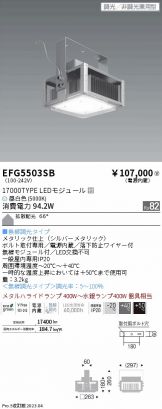 EFG5503SB