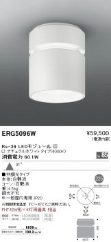 ERG5096W