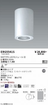 ERG5541S