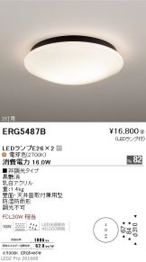 ERG5487B