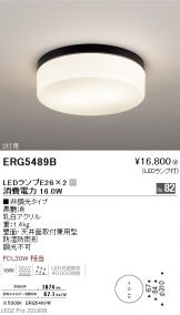 ERG5489B