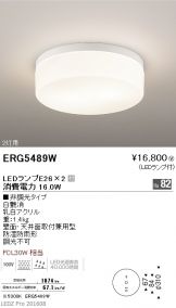 ERG5489W