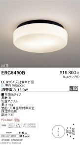 ERG5490B
