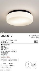 ERG5491B