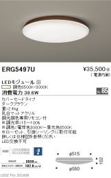 ERG5497U