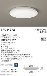 ERG5497W